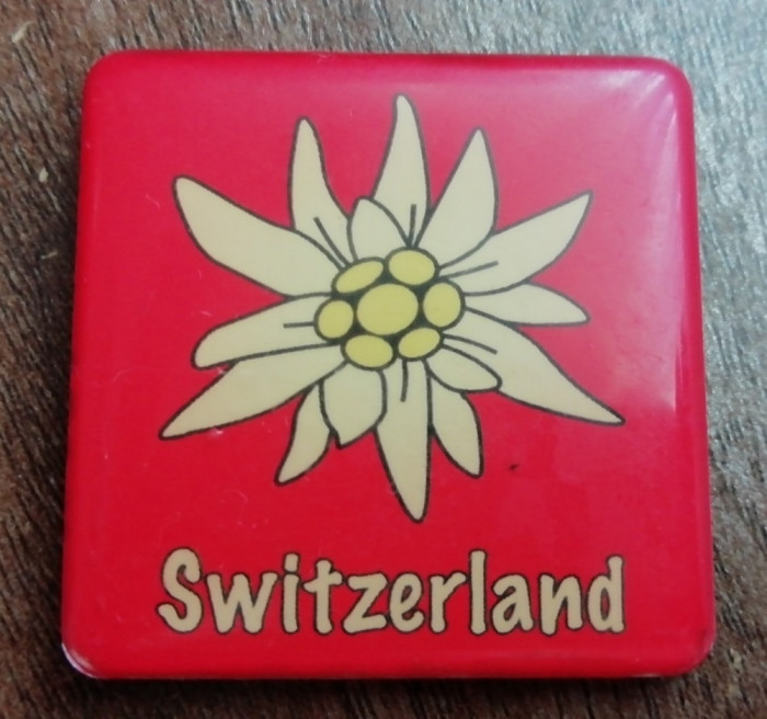 D4 - Magnet frigider - tematica turism - Elvetia 4