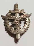 Insigna cu ac - Luftwaffe w.w.II