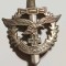 Insigna cu ac - Luftwaffe w.w.II