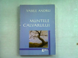 MUNTELE CALVARULUI - VASILE ANDRU