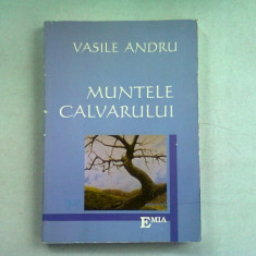 MUNTELE CALVARULUI - VASILE ANDRU