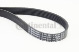 CONTINENTAL CTAM 6PK922 EXTRA Curea transmisie cu caneluri