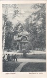 Vatra-Dornei. Pavilionul cu parcul (necirculata)