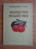 M. Dumitrescu - Pătlăgele roșii și pătlăgele vinete, Nemira