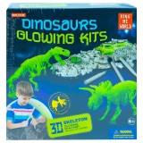 Set paleontologie &ndash; Descopera dinozauri