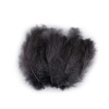 Set 20 pene decorative strut, lungime 9-16 cm, Negru