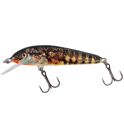 Vobler Salmo Minnow 5 Sinking Holo Stickleback 5cm, 5g foto