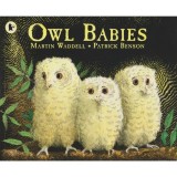 Cumpara ieftin Owl Babies