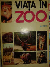 Viata in Zoo &amp;amp;#8211; M. Cociu foto