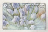 bnk card Cartele telefonice - Israel - flora - flori - Allium