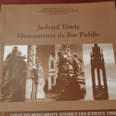 JUDETUL TIMIS MONUMENTE DE FOR PUBLIC