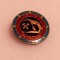 Insigna minerit - I.R.I.U.M. PETROSANI