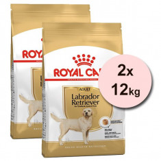 ROYAL CANIN LABRADOR RETRIEVER 2 x 12 kg