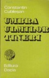 Umbra ulmilor tineri