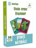 Unde cresc fructele? Stiinte naturale/***, Gama