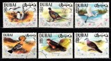 A12 S1 12 - Timbre foarte vechi - Dubai - pasari