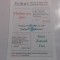 program Vladimirescu 2003 - inter Zimand Cuz