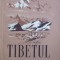 B. V. Iusov - Tibetul