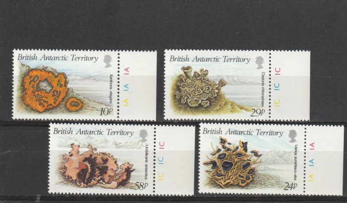Fauna ,corali,teritoriu Antartic Britanic,