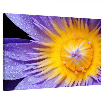 Tablou Canvas, Tablofy, Purple Lily, Printat Digital, 120 &amp;times; 90 cm foto