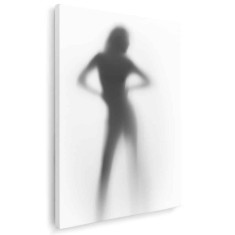 Tablou nud femeie siluetă difuză, alb, negru 1229 Tablou canvas pe panza CU RAMA 20x30 cm