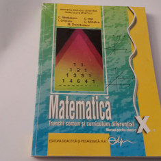 MATEMATICA MANUAL PENTRU CLASA A X-A - C. Nastasescu, C. Nita, Soare-RF19/2