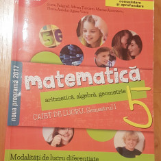 Matematica - caiet de lucru clasa V, semestrul 1 de Sorin Peligrad