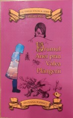Drumul Anei prin Valea Plangerii vol.3 Seria Andilandi foto