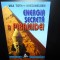 ENERGIA SECRETA A PIRAMIDEI -MAX TOTH /GREG NIELSEN ANUL 1999