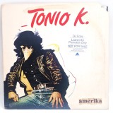 Tonio K. &lrm;&ndash; Amerika NM / VG vinil Lp disc Arista SUA 1980 rock