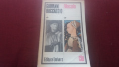 GIOVANNI BOCCACCIO - FILOCOLO foto