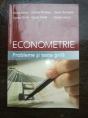 Econometrie. Probleme si teste grila- Danut Jemna, Viorica Chirila foto