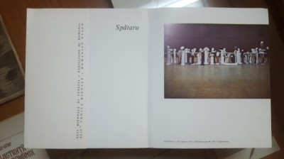 Spătaru, Pliant, Text de Andrei Pleșu foto