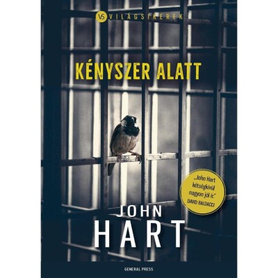 K&amp;eacute;nyszer alatt - John Hart foto