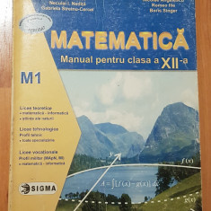Matematica - Manual pentru clasa a XII-a (M1) de Ion D. Ion, Eugen Campu