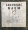 GHEORGHE NAUM - GRAVORUL