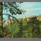 CPIB 17259 CARTE POSTALA - RASNOV. CETATEA