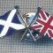 AX 1096 INSIGNA -DRAPELE SCOTIA -MAREA BRITANIE -PENTRU COLECTIONARI