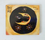 #CD (RAR) - Dirty words - They Play - Rock-Pop alternativ