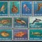 San Marino 1966 Mi 869/78 MNH - Fauna marina