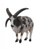 Figurina Jacob Sheep L Collecta