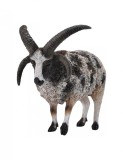 Figurina Jacob Sheep L Collecta