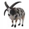 Figurina Jacob Sheep L Collecta