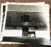 Fotografii Pojorata Suceava