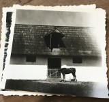 Fotografii Pojorata Suceava