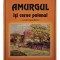 Elis Rapeanu - Amurgul isi cerne polenul - Versuri (pan)lirice (semnata) (Editia: 2006)