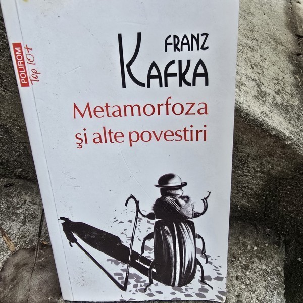 Franz Kafka Metamorfoza si alte povestiri