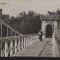 CPI B13548 CARTE POSTALA - CRAIOVA - VEDERE DIN PARC, RPR