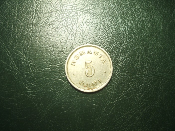 E 5 BANI 1900