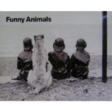 Postere Funny Animals